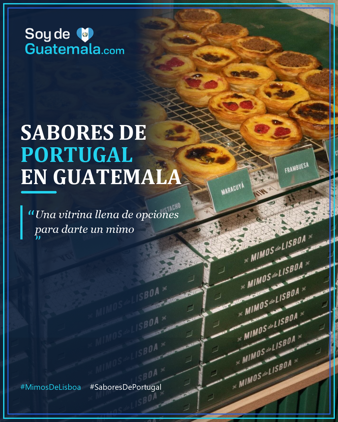 Vitrina con distintos sabores de pastéis de nata de Mimos de Lisboa